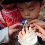 カナヘビいいこいいこ