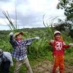 花火だドッカーン