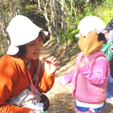 大きな黄色の葉っぱ 大きな黄色の葉っぱ