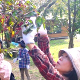 赤い実みっけ 赤い実みっけ