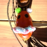 カラスウリの動物 カラスウリの動物