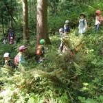 里山やっほ5/15　木登りとおいしいもの
