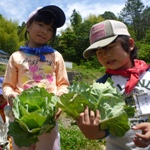【報告】5/19わんぱく題楽「はじめての収穫！」