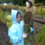 【報告】10/20わんぱく題楽「稲刈りをしよう！・自分でおもちゃを作って、みよう！」