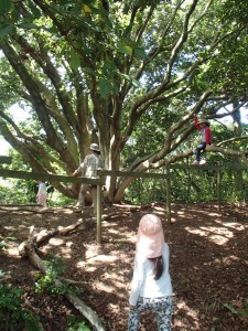 【報告】8/22里山キッズ