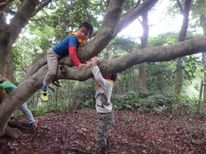 【報告】8/24里山キッズ