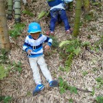 ササのすべり台