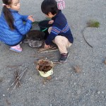 ちゃんと大きさ別に仕分けて (640x480)