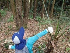 【報告】H28年度里山やっほ始まりました