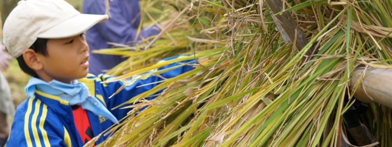 わんぱく題楽2022