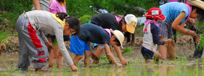 わんぱく里山2022