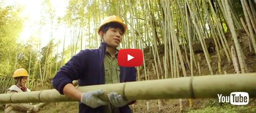 里山づくりプロジェクト2022＊毎週第2水曜＊