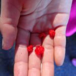 【報告】里山BASE冬②～遊び方は無限大！～