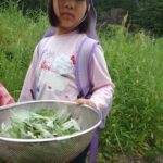 【報告】里山やっほ　5月