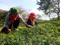 【報告】11/3里山のかやねずみ　にちようび　木の実をどうぞ♪