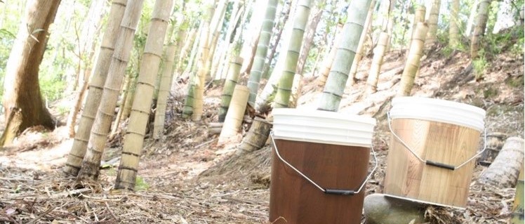 5/21(金)森へのとびら~コンポスト講座~