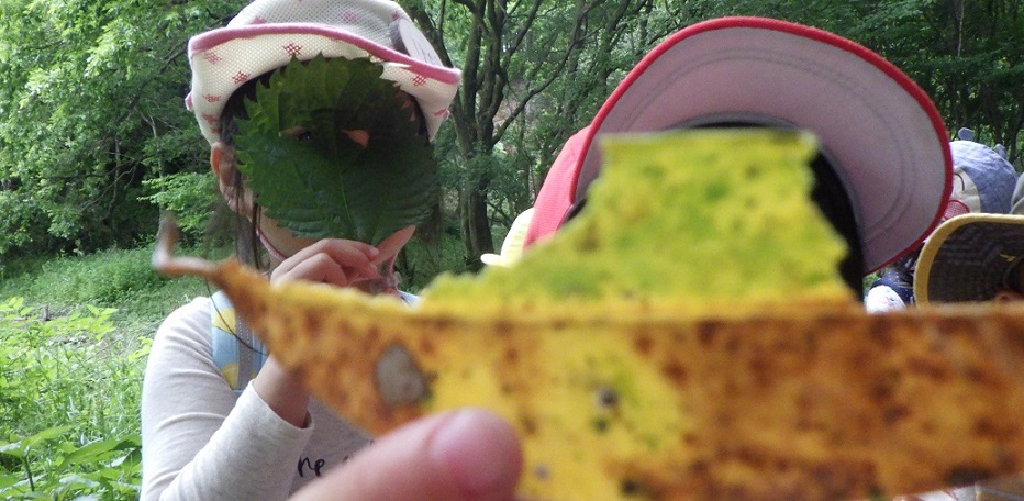 ★2022年度継続プログラム  ラインナップ★